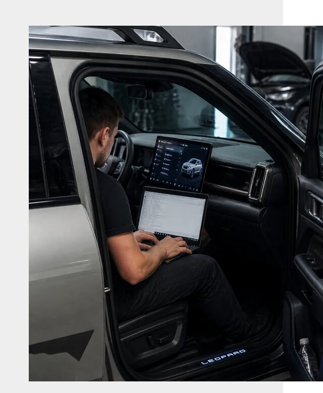 Русификация BYD Leopard 3 в Кемерово по цене от 20708 р. | ФастМобиль-Кмр